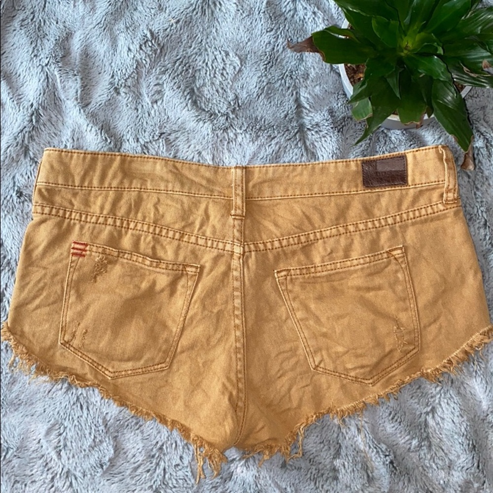 BDG Low Rise Shorts - Picture 2 of 9